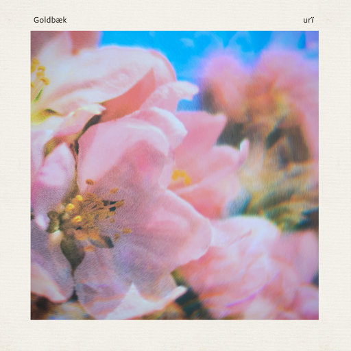 啊⋯学长⋯好硬⋯拔出来微博
